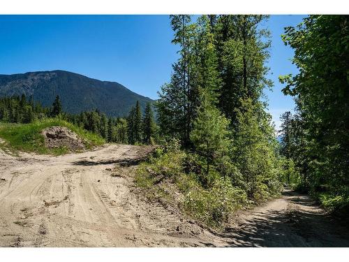 1 Proposed Lot #1 150 Townley Street, Revelstoke, BC - Outdoor With View