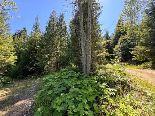 2410 Trinity Valley Road, Enderby, BC - Outdoor