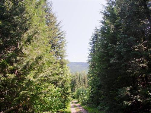 2410 Trinity Valley Road, Enderby, BC - Outdoor With View
