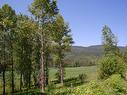 2410 Trinity Valley Road, Enderby, BC  - Outdoor With View 