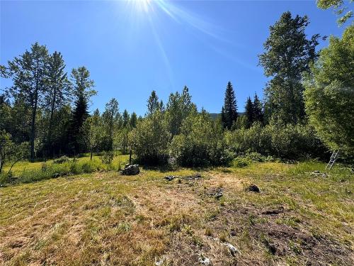 2410 Trinity Valley Road, Enderby, BC - Outdoor With View