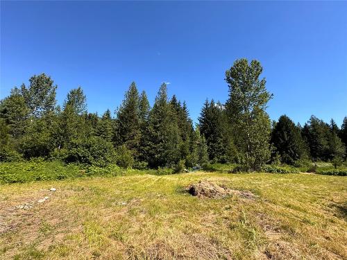 2410 Trinity Valley Road, Enderby, BC - Outdoor With View