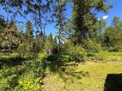 2410 Trinity Valley Road, Enderby, BC - Outdoor With View