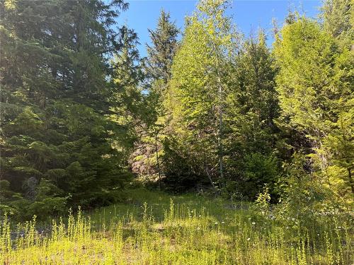 2410 Trinity Valley Road, Enderby, BC - Outdoor With View