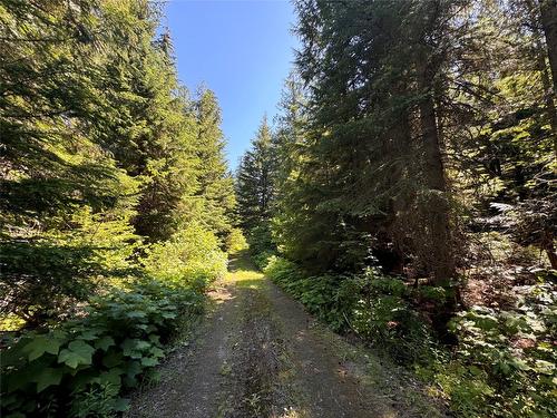 2410 Trinity Valley Road, Enderby, BC - Outdoor