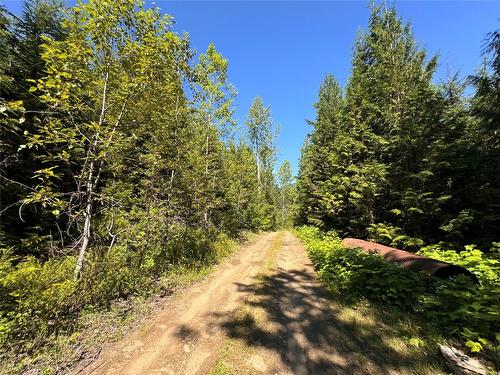 2410 Trinity Valley Road, Enderby, BC - Outdoor With View