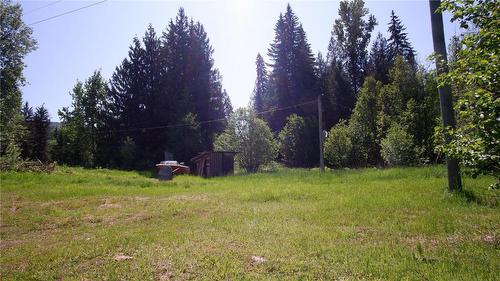 2410 Trinity Valley Road, Enderby, BC - Outdoor With View