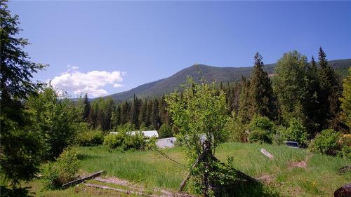 2410 Trinity Valley Road, Enderby, BC - Outdoor With View