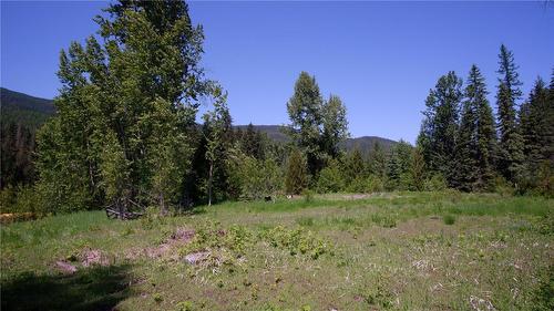 2410 Trinity Valley Road, Enderby, BC - Outdoor With View