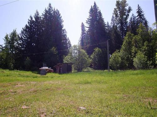 2410 Trinity Valley Road, Enderby, BC - Outdoor