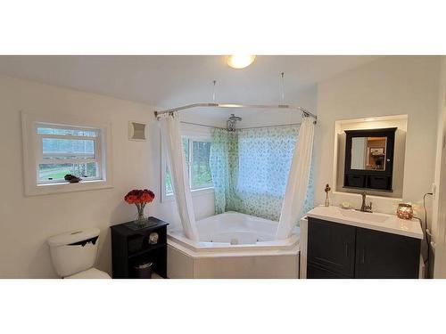 225 Barnes Creek Road, Edgewood, BC - Indoor Photo Showing Bathroom
