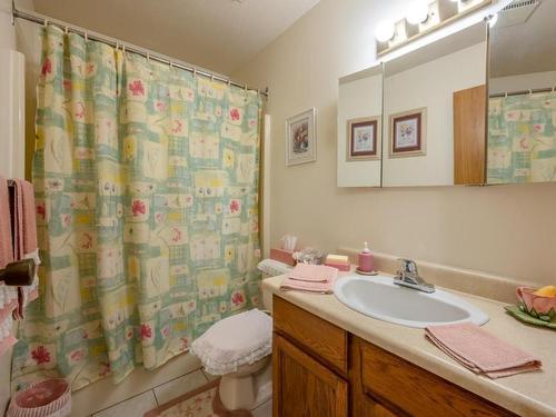 3-17017 Snow Avenue, Summerland, BC - Indoor Photo Showing Bathroom