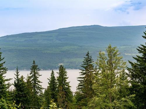 2857 Vickers Trail, Anglemont, BC - Outdoor With Body Of Water With View