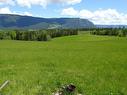 1144 Tappen Valley Road, Tappen, BC  - Outdoor With View 