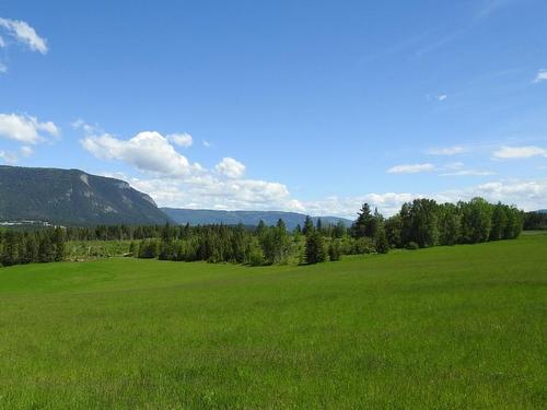 1144 Tappen Valley Road, Tappen, BC - Outdoor With View