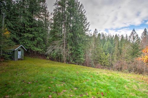 538 North Fork Road, Cherryville, BC - Outdoor