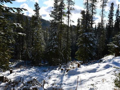 Lot 123 Wapiti Creek Road, Oliver, BC - Outdoor With View