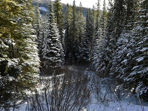 Lot 123 Wapiti Creek Road, Oliver, BC - Outdoor