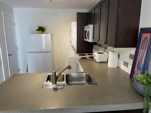 102-394 Vancouver Avenue, Penticton, BC - Indoor Photo Showing Kitchen With Double Sink