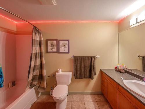 300 Jones Way Road, Oliver, BC - Indoor Photo Showing Bathroom