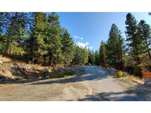 295 Mule Deer Drive, Osoyoos, BC - Outdoor With View