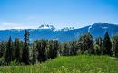 9 Proposed Lot #9 150 Townley Street, Revelstoke, BC 