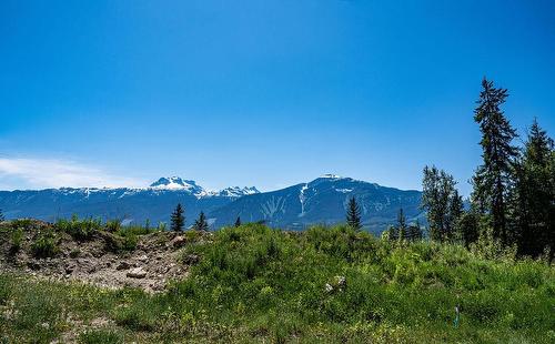 9 Proposed Lot #9 150 Townley Street, Revelstoke, BC 