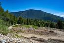 9 Proposed Lot #9 150 Townley Street, Revelstoke, BC 