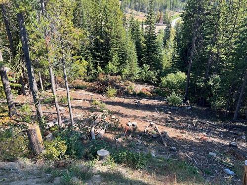 Lot 122 Wapiti Creek Road, Oliver, BC - Outdoor With View