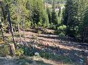 Lot 122 Wapiti Creek Road, Oliver, BC  - Outdoor With View 