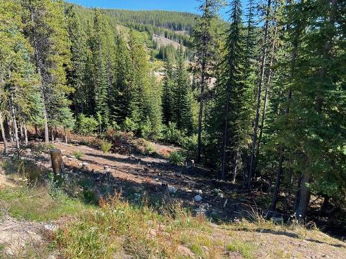 Lot 122 Wapiti Creek Road, Oliver, BC - Outdoor With View