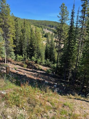 Lot 122 Wapiti Creek Road, Oliver, BC - Outdoor With View