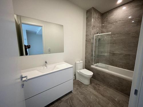 Bathroom - 409-32 Ch. Du Bord-Du-Lac-Lakeshore, Pointe-Claire, QC - Indoor Photo Showing Bathroom