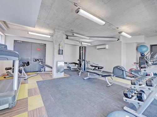 Exercise room - 811-377 Rue Des Seigneurs, Montréal (Le Sud-Ouest), QC - Indoor Photo Showing Gym Room