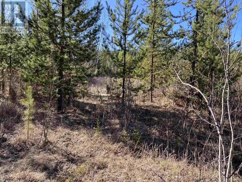 Lot B Lone Butte Horse Lake Road, 100 Mile House, BC 