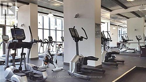 220 - 5 St Joseph Street, Toronto, ON - Indoor Photo Showing Gym Room