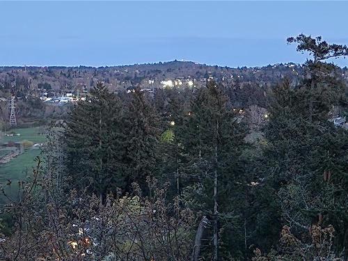 20-4305 Maltwood Lane, Saanich, BC - Outdoor With View