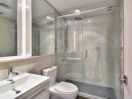 Salle de bains - 217-1265 Rue Lambert-Closse, Montréal (Ville-Marie), QC - Indoor Photo Showing Bathroom