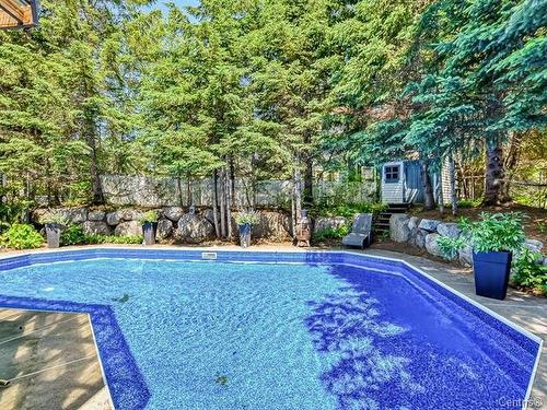 Piscine - 2352Z Rue De L'Église, Val-David, QC - Outdoor With In Ground Pool With Backyard