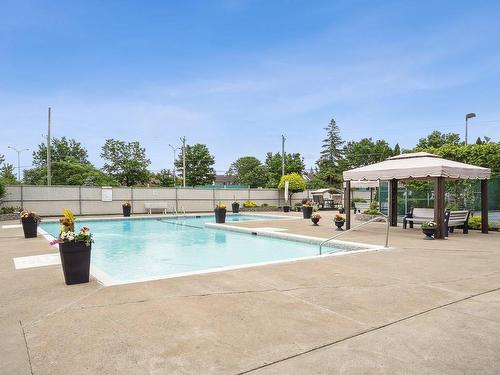 Pool - 303-8065 Boul. St-Laurent, Brossard, QC - Outdoor With In Ground Pool