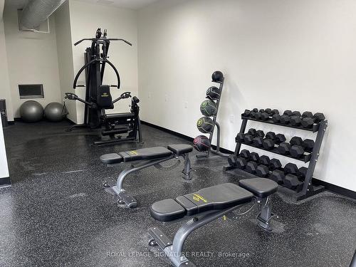 B102-46 Panorama Crt, Toronto, ON - Indoor Photo Showing Gym Room