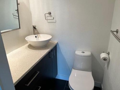 Unit 309, 405 Waverley Street, Thunder Bay, ON - Indoor Photo Showing Bathroom