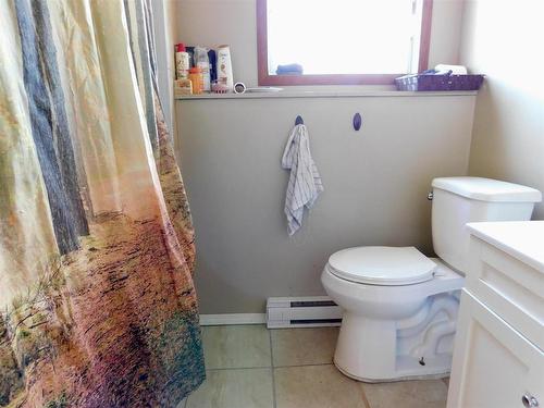 95 Leach Road, Dryden, ON - Indoor Photo Showing Bathroom