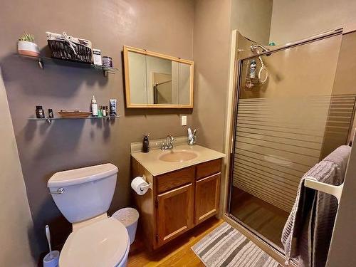 165 Wilde Street, Dryden, ON - Indoor Photo Showing Bathroom