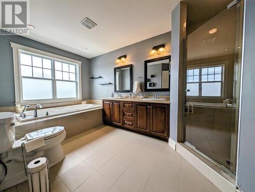 1 Bellwood Drive, Massey Drive, NL - Indoor Photo Showing Bathroom