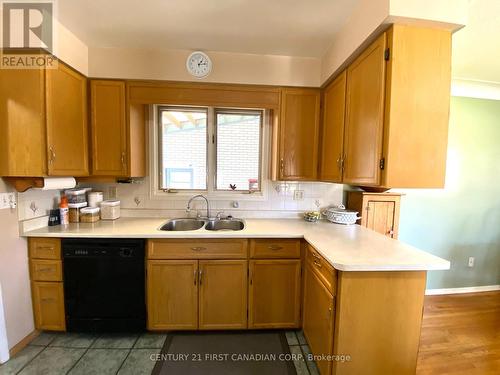 1081 Senate Court S, Sarnia, ON - Indoor Photo Showing Kitchen With Double Sink
