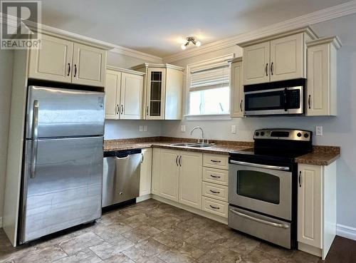 31 Kenai Crescent, St. John'S, NL - Indoor Photo Showing Kitchen With Double Sink