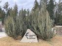 Lot 15 Crooked Tree Place, Fairmont Hot Springs, BC 