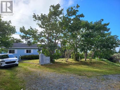 7881 Timbercove Road, St. Mary'S, NL - Outdoor