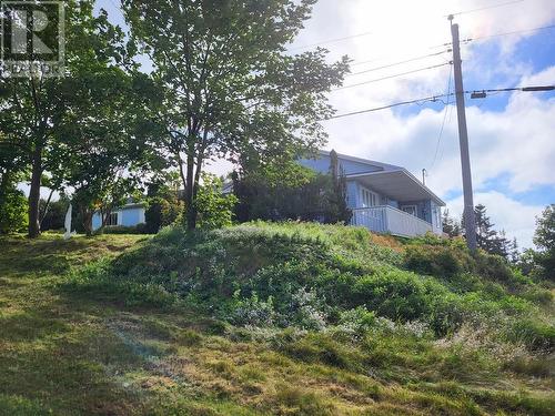 7881 Timbercove Road, St. Mary'S, NL - Outdoor